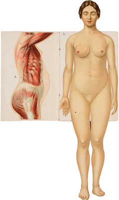 Платен М. Новый способ лечения. Лечение целебными силами природы. [В 4-х томах]. Т. 1-4. СПб., [1902-1909].